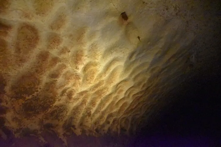 motifs de coups de gouge (cavités concaves entourées de crêtes acérées) sur une paroi en calcaire de la grotte Saint-Marcel, en Ardèche