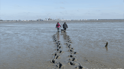 Estuaire de la Loire