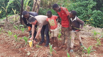 Risque sanitaire au Cameroun